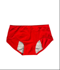 (Pack of 3) Leak Proof Double Layered Period Underwear