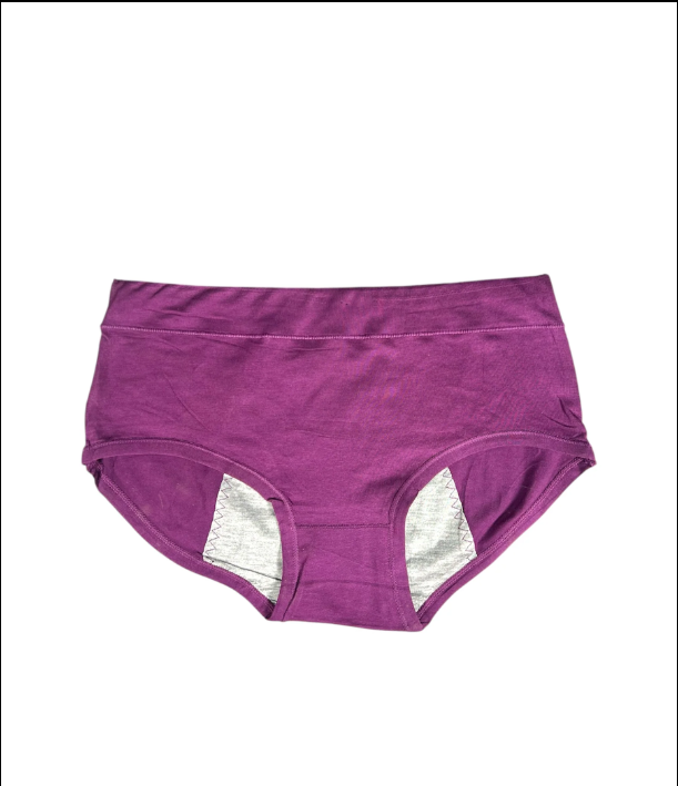(Pack of 3) Leak Proof Double Layered Period Underwear