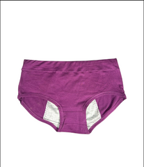 (Pack of 3) Leak Proof Double Layered Period Underwear